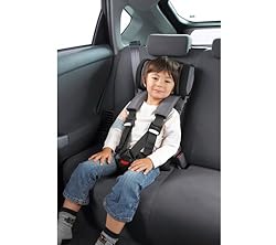 5点式骨盤拘束ハーネス