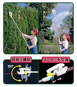 高い枝・高い生垣に
