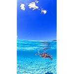海の生き物 iPhone SE第2~3世代 8~6 壁紙 視差効果 青い空の下で海面付近を泳ぐウミガメ 海の生き物 iPhone SE第2~3世代 8~6 壁紙 視差効果 青い空の下で海面付近を泳ぐウミガメ