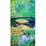 世界遺産 iPhone SE第2~3世代 8~6 壁紙 視差効果 白神山地 世界遺産 iPhone SE第2~3世代 8~6 壁紙 視差効果 白神山地