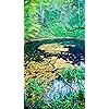 世界遺産 フルhd 1080 19 スマホ壁紙 待受その他画像 スマポ 世界遺産 フルhd 1080 19 スマホ壁紙 待受その他画像 スマポ