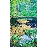 世界遺産 フルHD(1080×1920)スマホ壁紙/待受 秋の白神山地 世界遺産 フルHD(1080×1920)スマホ壁紙/待受 秋の白神山地