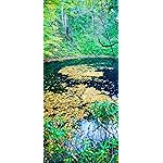 世界遺産 iPhone 15,14,13,12,11,X 壁紙(1125x2436) 秋の白神山地 青池 世界遺産 iPhone 15,14,13,12,11,X 壁紙(1125x2436) 秋の白神山地 青池