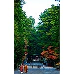 世界遺産 iPhone4s 壁紙 視差効果  秋の日光 世界遺産 iPhone4s 壁紙 視差効果  秋の日光