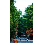 世界遺産 iPhone SE第2~3世代 8~6 壁紙 視差効果 日光 世界遺産 iPhone SE第2~3世代 8~6 壁紙 視差効果 日光