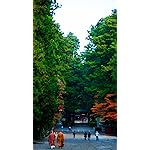 世界遺産 フルHD(1080×1920)スマホ壁紙/待受 日光東照宮 世界遺産 フルHD(1080×1920)スマホ壁紙/待受 日光東照宮