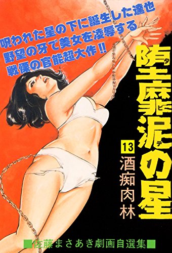 堕靡泥の星 13 (マンガの金字塔)