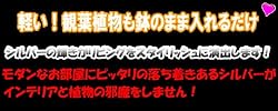 お部屋をスタイリッシュに演出