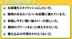 こんな方にピッタリ