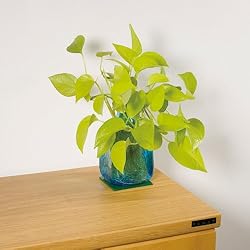 使用イメージ