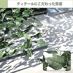 水やり不要・栽培不要のお手軽さ
