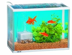 Amazon ジェックス 金魚元気セット S ジェックス 飼育セット 通販