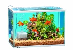 Amazon ジェックス 金魚元気セット L ジェックス 飼育セット 通販