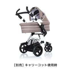 ヨーロッパの定番、キャリーコット