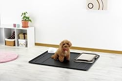 サークルのアンダートレーとして