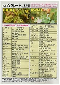 ばらの病気（黒星病、うどんこ病）に予防と治療