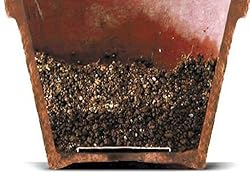鉢植え全般に使える、穴が小さいタイプ