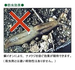 銅イオンの持つ防虫効果