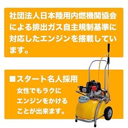 特徴