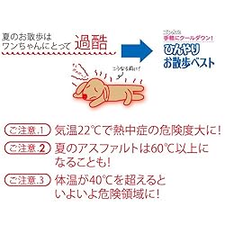 夏のお散歩はワンちゃんにとって過酷