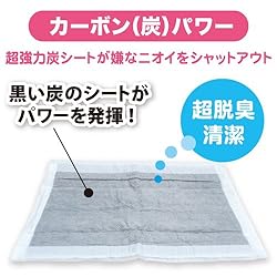 カーボン（炭）パワー