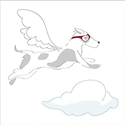 コージースリーピングバッグとは