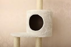 高い位置のハウス設置