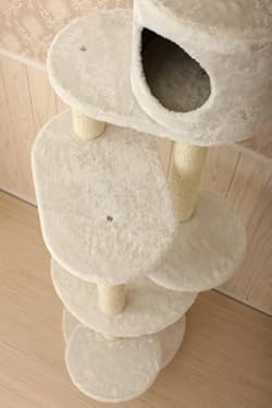 まんまるステップ