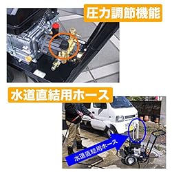特徴