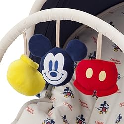 かわいいトイバー付