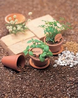 植物名などを書きこめる銅製のフラワープレート