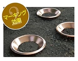 マーキング効果と集水効果