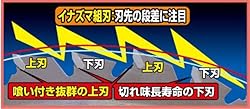 イナズマ組刃：刃先の段差に注目