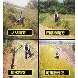 使用例