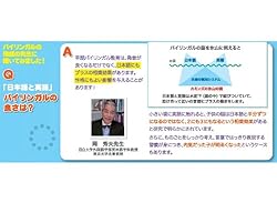 日本語と英語、バイリンガルの良さって？