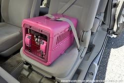 シートベルト固定機能付き