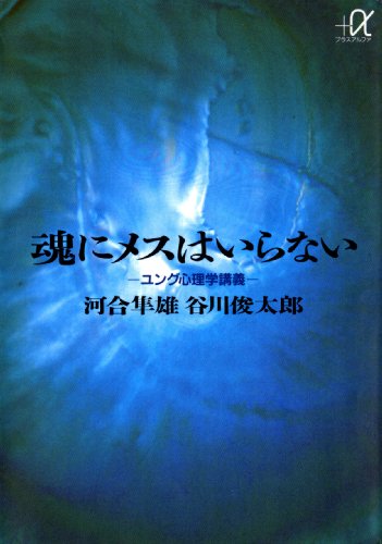 魂にメスはいらない　ユング心理学講義 (講談社+α文庫)