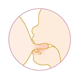 母乳を飲み込む【嚥下】