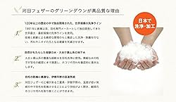 グリーンダウンがクリーンで高機能な理由