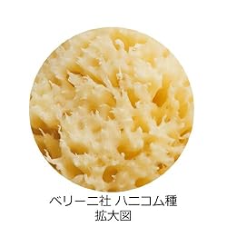 心地良い弾力の最高級ハニコム種