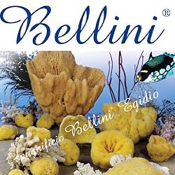 世界が支持するベリーニ社製の天然海綿スポンジ