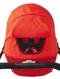 開閉ウィンドウ付き大型キャノピー