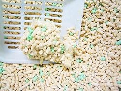 おからの猫砂せっけんの香り6L　固まり状況