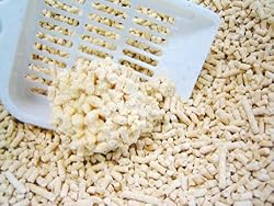 おからの猫砂6L固まり状況