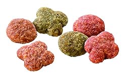 栄養バランスを考えたドライフード