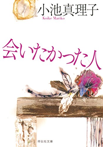 会いたかった人 (祥伝社文庫)