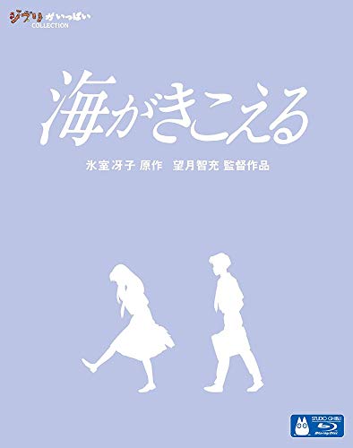 「海がきこえる」