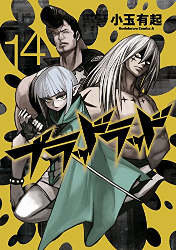 ブラッドラッド(14) (角川コミックス・エース)
