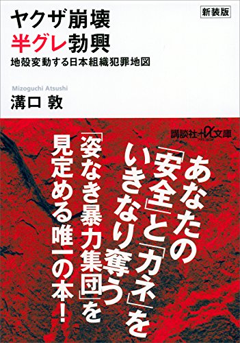 新装版　ヤクザ崩壊　半グレ勃興　地殻変動する日本組織犯罪地図 (講談社+α文庫)