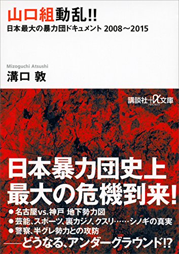 山口組動乱!!　日本最大の暴力団ドキュメント　2008~2015 (講談社+α文庫)